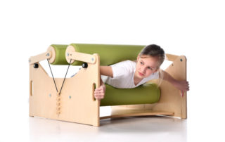 musculoskeletal apparatus